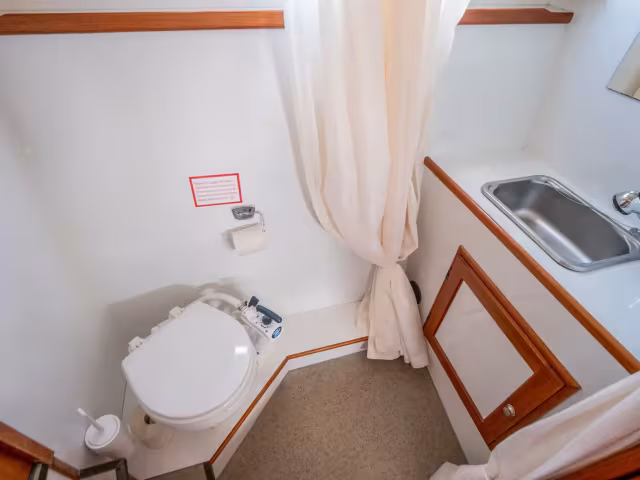 Pedro Skiron Typ 2 – Laura