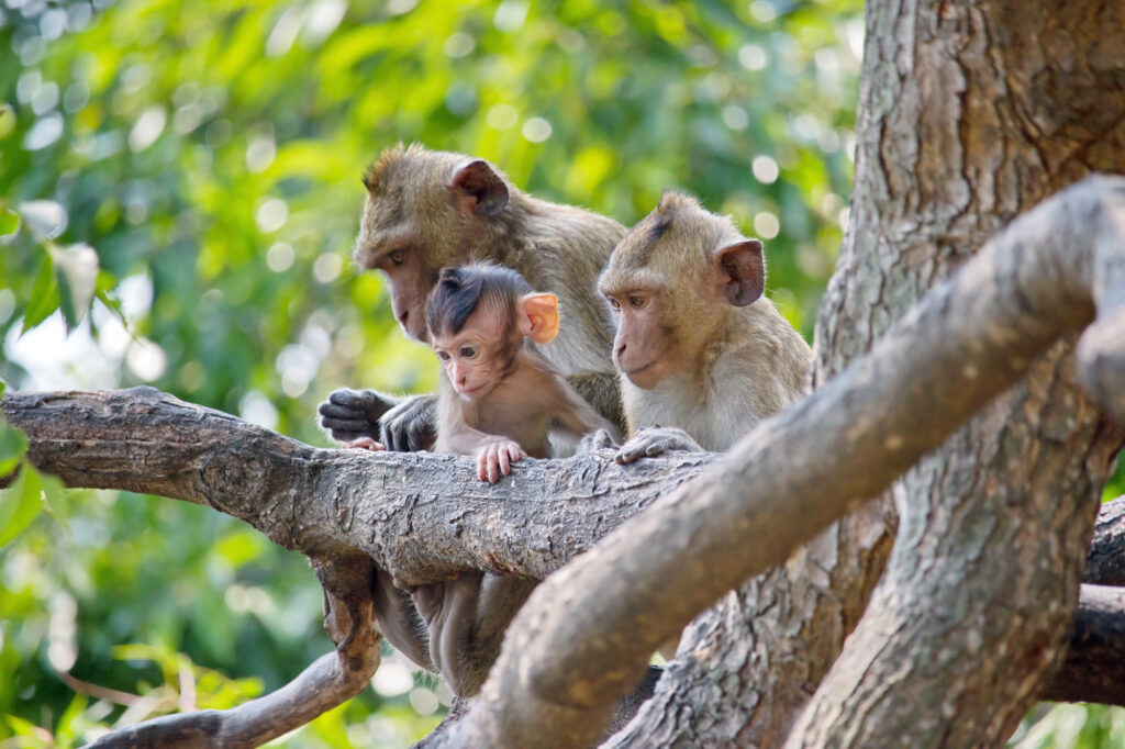 Ausflugsziele rund um die Müritz