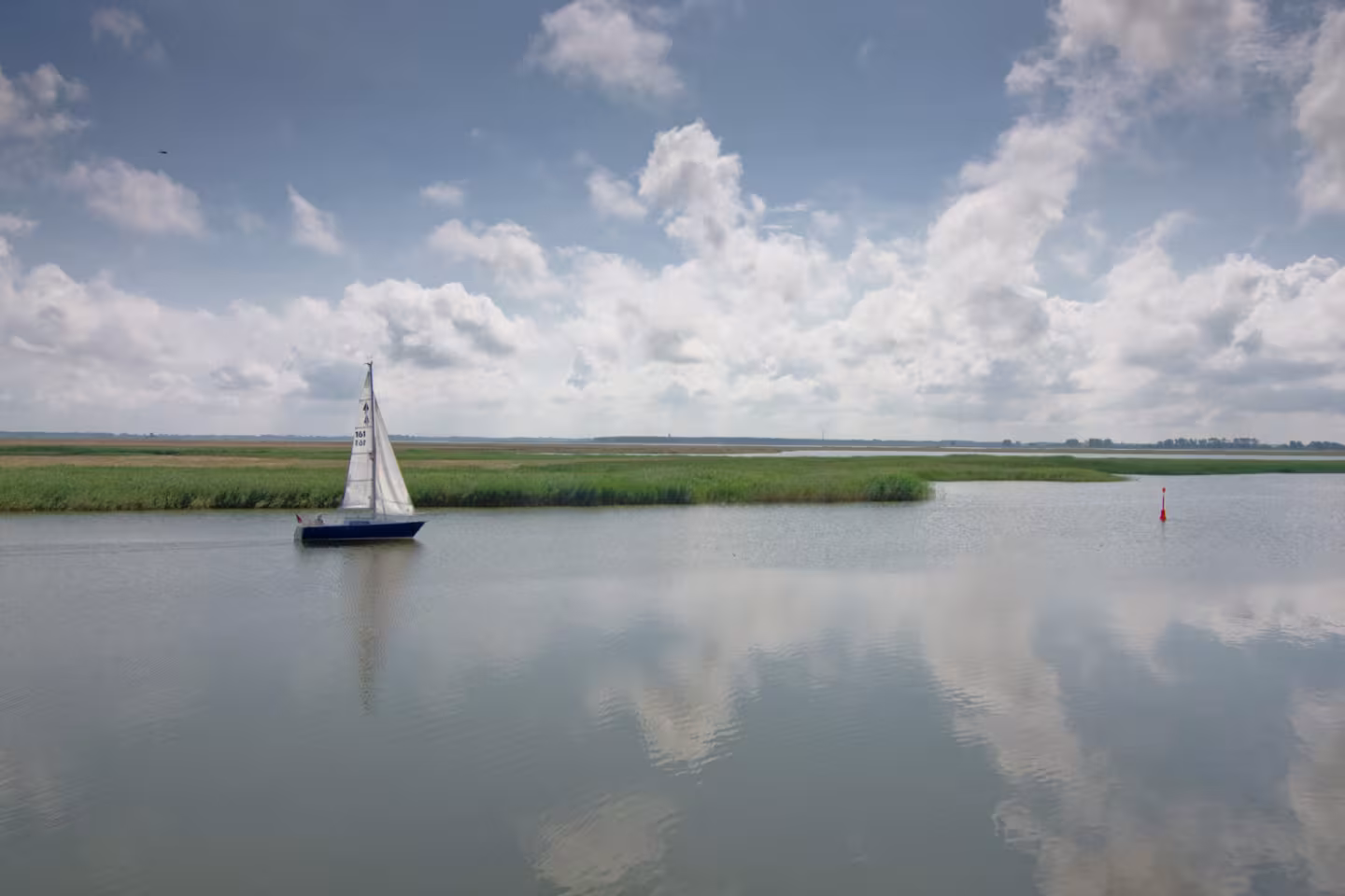 Die Boddenküste der Ostsee