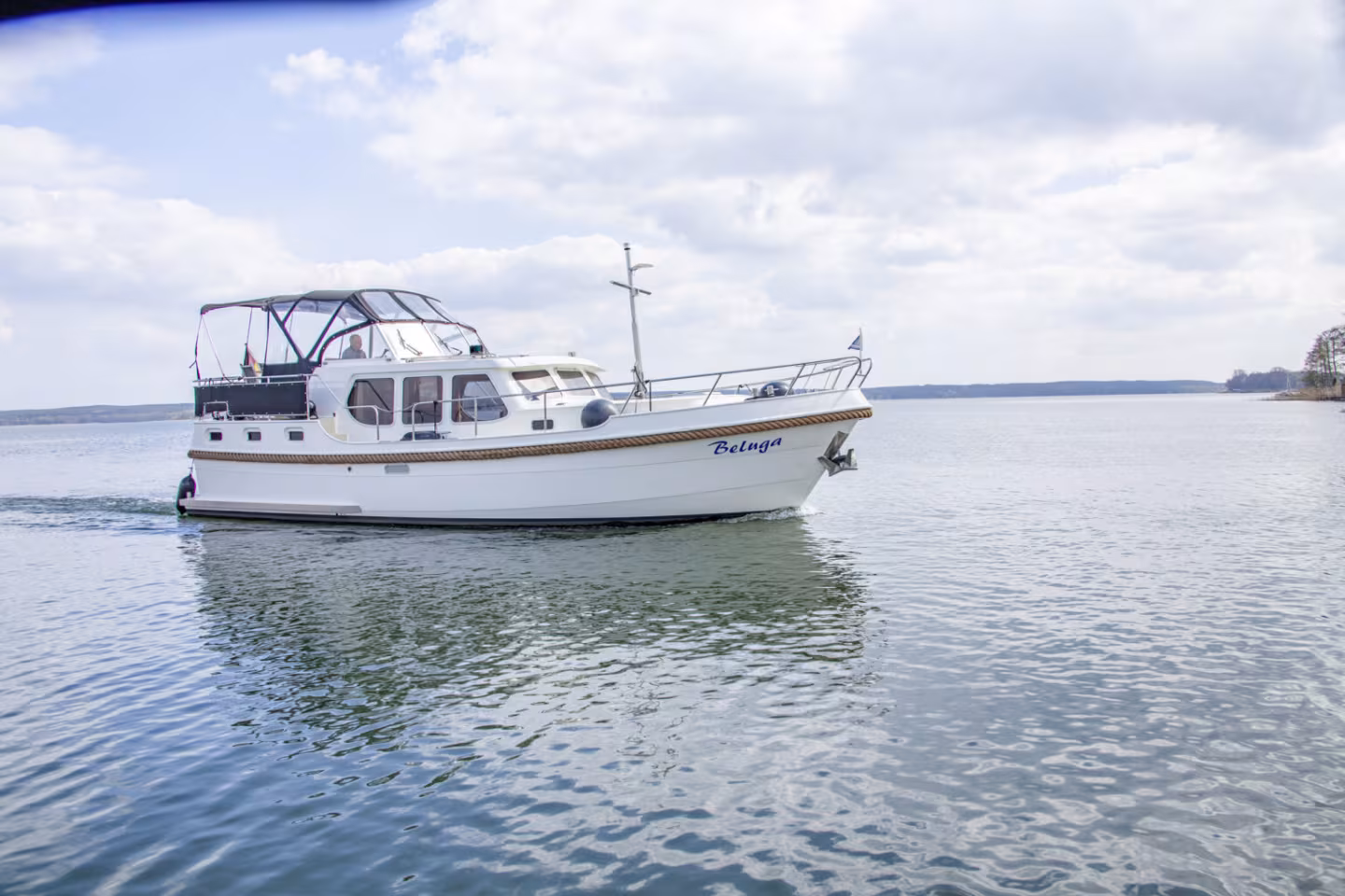 Babro Beluga Classic – Beluga