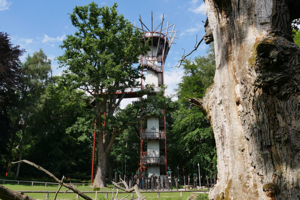 Ausflugsziele rund um die Müritz
