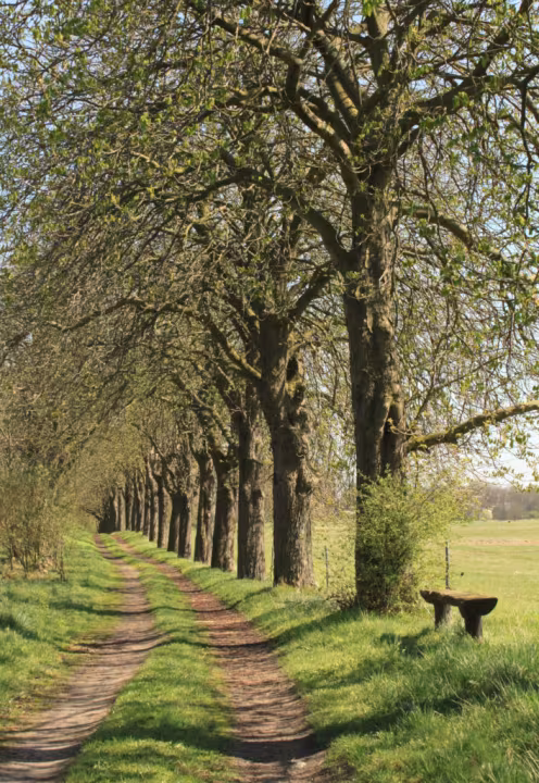 Mit dem Fahrrad unterwegs